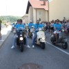 cesnje, brusniska-hrustavka, ivan-kralj, mestna-obcina-novo-mesto, razstava-cesenj