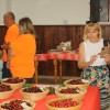 cesnje, brusniska-hrustavka, ivan-kralj, mestna-obcina-novo-mesto, razstava-cesenj