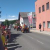 cesnje, brusniska-hrustavka, ivan-kralj, mestna-obcina-novo-mesto, razstava-cesenj