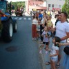 cesnje, brusniska-hrustavka, ivan-kralj, mestna-obcina-novo-mesto, razstava-cesenj