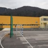 IMG_6351.jpg