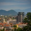1781191913-trznica38-1781191887584.jpg