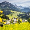 15_Filzmoos_Sommer_Ortsansicht_1.jpg