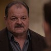 Dragan Veselić, Divlje pčele