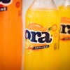 agra, predstavitev-ocenjevanj, mleko, meso, pijača, gornja-radgona