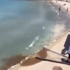 korcula fekalije.jpg