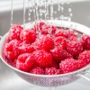 maline