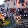 slon-in-cvet-je-v-jeseni, muzejski-vrtovi, festival-novomesko-poletje