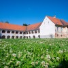 zupanove-petice, obcina-beltinci