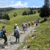 velika-planina