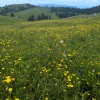 velika-planina