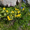 velika-planina