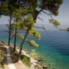 Lošinj