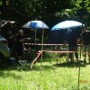 plesivica
