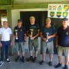 plesivica