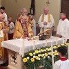 D25_DruzabnaZlatomasnik.jpg