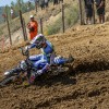 907-16-gajser2.jpg