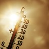 termometer