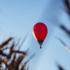 baloni, balonarsko-prvenstvo-2026, balon, toplozračni-balon