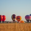 baloni, balonarsko-prvenstvo-2026, balon, toplozračni-balon