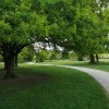 park.jpg