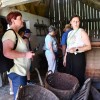 revmatiki-dolenjske-in-bele-krajine
