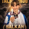 taekwondo