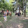 IMG_1174.jpeg