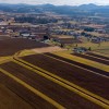 Kmetijske površine v Celju