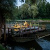 tomaz-domicelj, koncert, otok-ljubezni