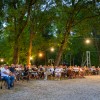 tomaz-domicelj, koncert, otok-ljubezni