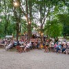 tomaz-domicelj, koncert, otok-ljubezni
