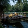 tomaz-domicelj, koncert, otok-ljubezni