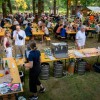 tomaz-domicelj, koncert, otok-ljubezni