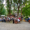 tomaz-domicelj, koncert, otok-ljubezni