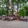 tomaz-domicelj, koncert, otok-ljubezni