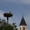 kuzma, obcina-kuzma