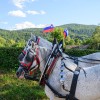 pgd-krka