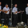 pgd-krka