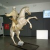 skocjan, knobleharjevo-2026