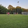 sd-kruplivnik, reflektorji, namakalni-sistem, kruplivnik