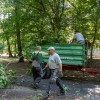 odstranjevanje-gnezd-poljskih-vran, vrane, mestni-park-murska-sobota