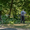 odstranjevanje-gnezd-poljskih-vran, vrane, mestni-park-murska-sobota
