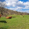 Sklad kmetijskih zemljišč in gozdov