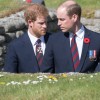 princ-william, princ-harry