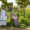 plaz, protest-marta-gregorc