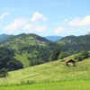 susa, koruza, kmetijstvo, pridelki