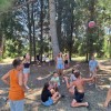 debeli rtič1.jpg