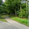 vrane-v-parku, odstranjevanje-gnezd-vran, komunala, simbolična