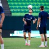 nk-celje, egnatia, liga-prvakov
